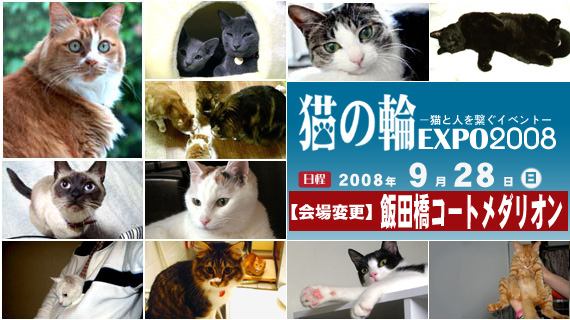 ネコページ おはようございます☀ 友達の飼い猫が行方不明になってから時間が経ち